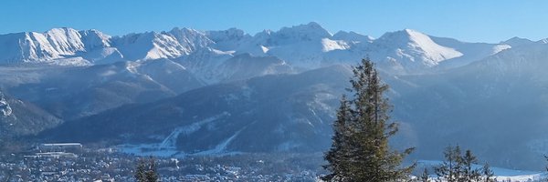 NatEndoport Profile Banner