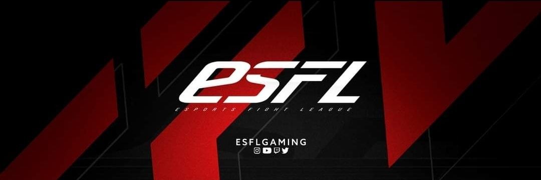 ESFL banner