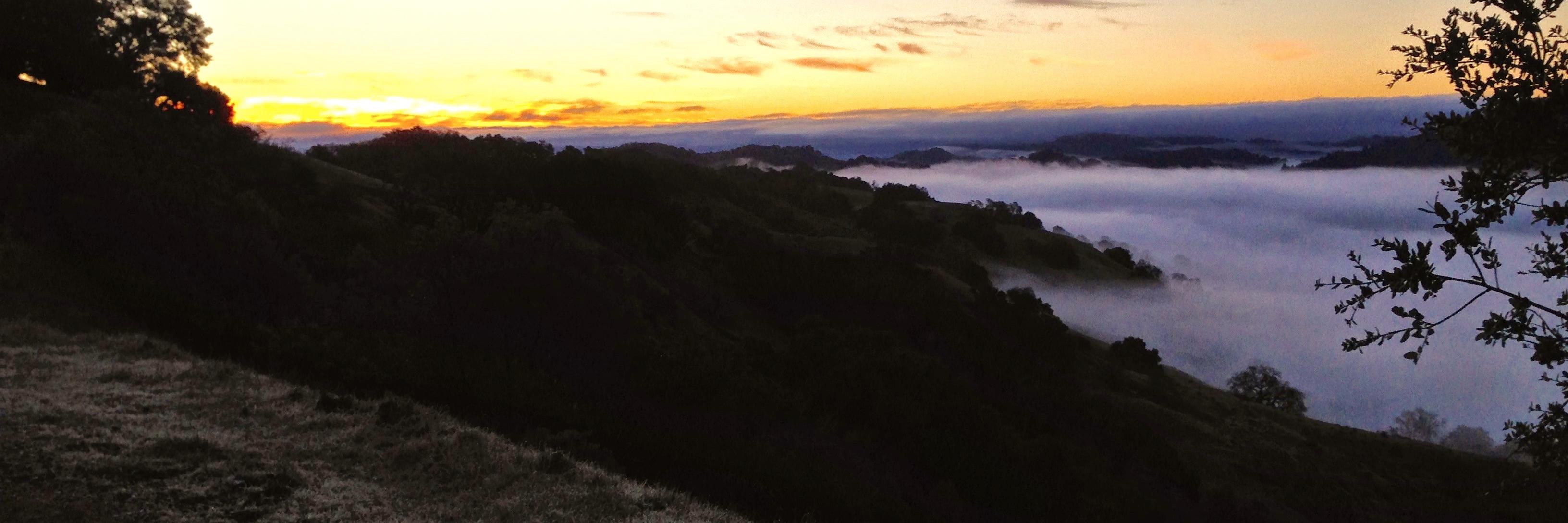 Michael Taylor banner