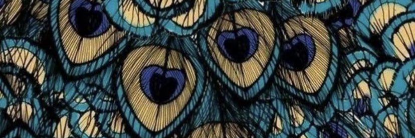 Flais_13's profile banner image