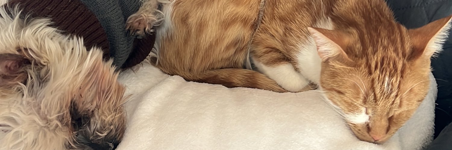 charlesbeats's profile banner image