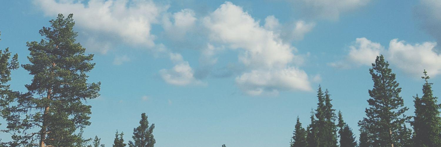 frkvilde's profile banner image