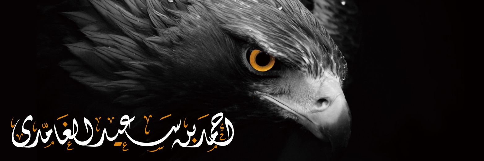 abusaeed70's profile banner image