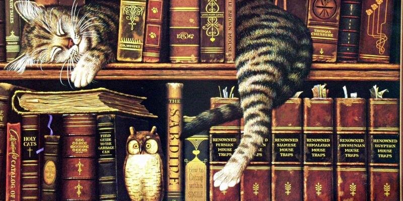 Yazan_Kafa's profile banner image