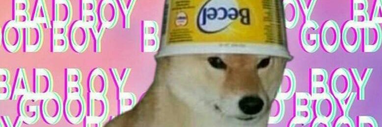 jesstink_'s profile banner image