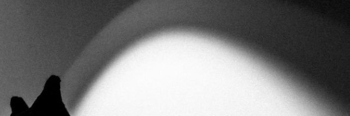 ✱✱✱✱✱ banner