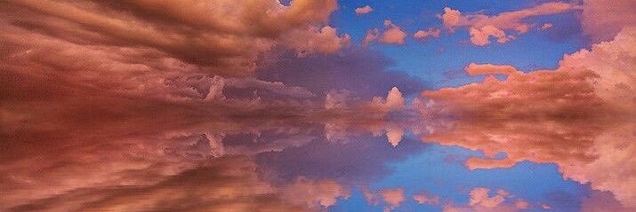 Thuo_Scott's profile banner image