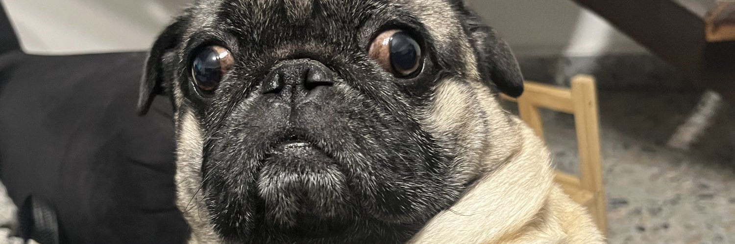 CarlaKukla's profile banner image