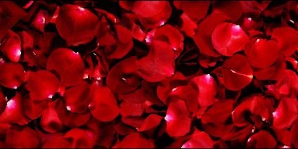 FriendshipDemi's profile banner image