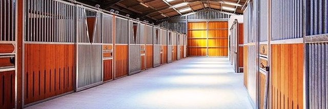 Faye Bramley Racing at Lodge Down Stables banner