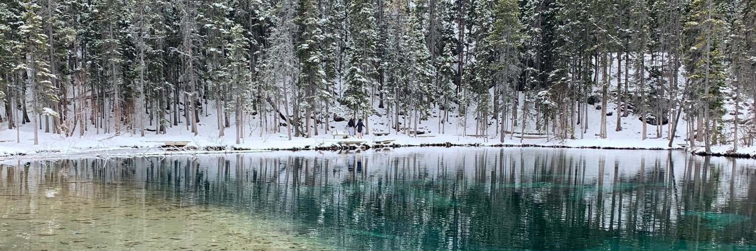 Dr. Bri Redquest banner