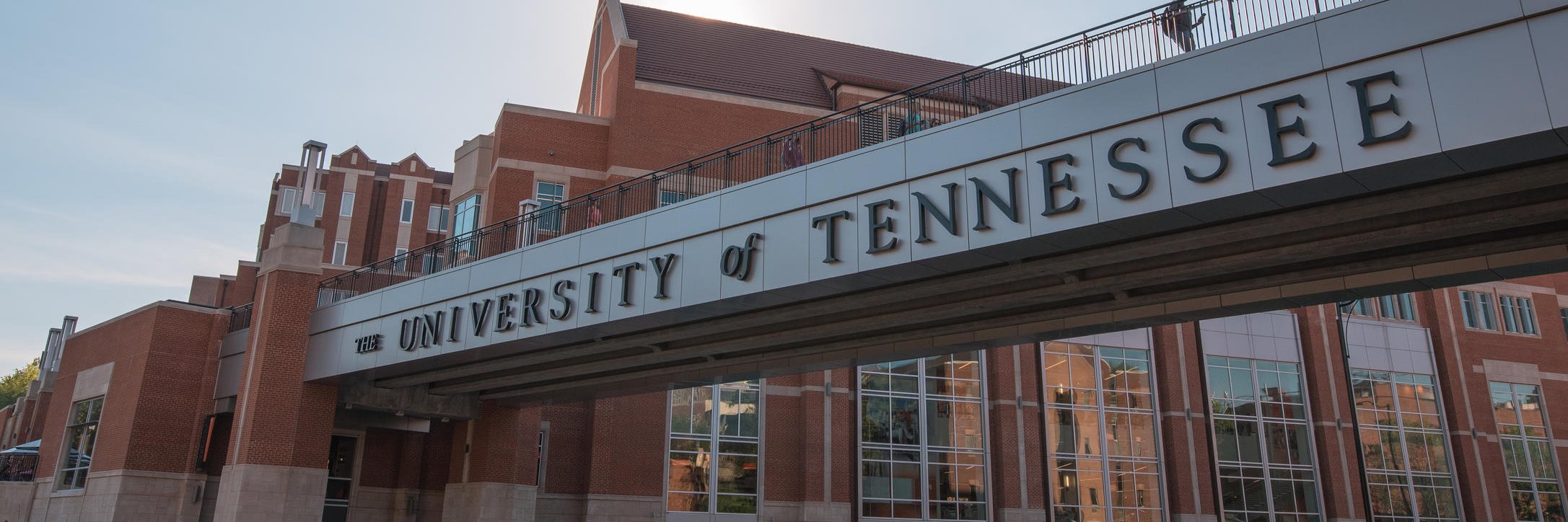 UT Boyd Center for Business & Economic Research banner