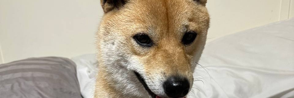 osakuni5's profile banner image