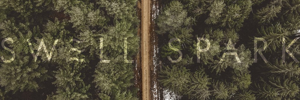 SwellSpark's profile banner image