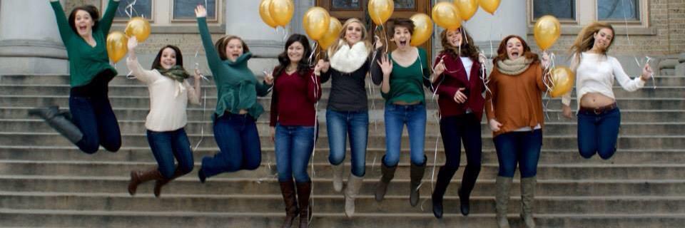 CSU Panhellenic banner