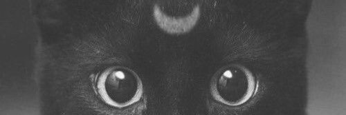 dannirvel's profile banner image