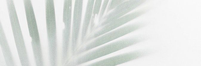 Athorh4's profile banner image