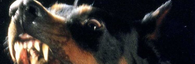 YWoahhhh's profile banner image