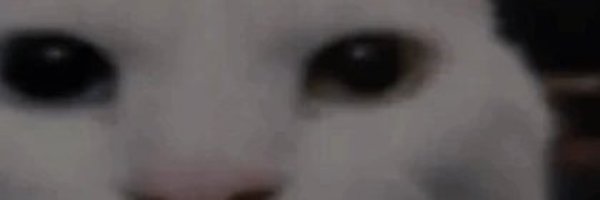 Mittaen Profile Banner