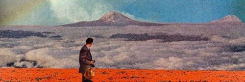 Nev banner