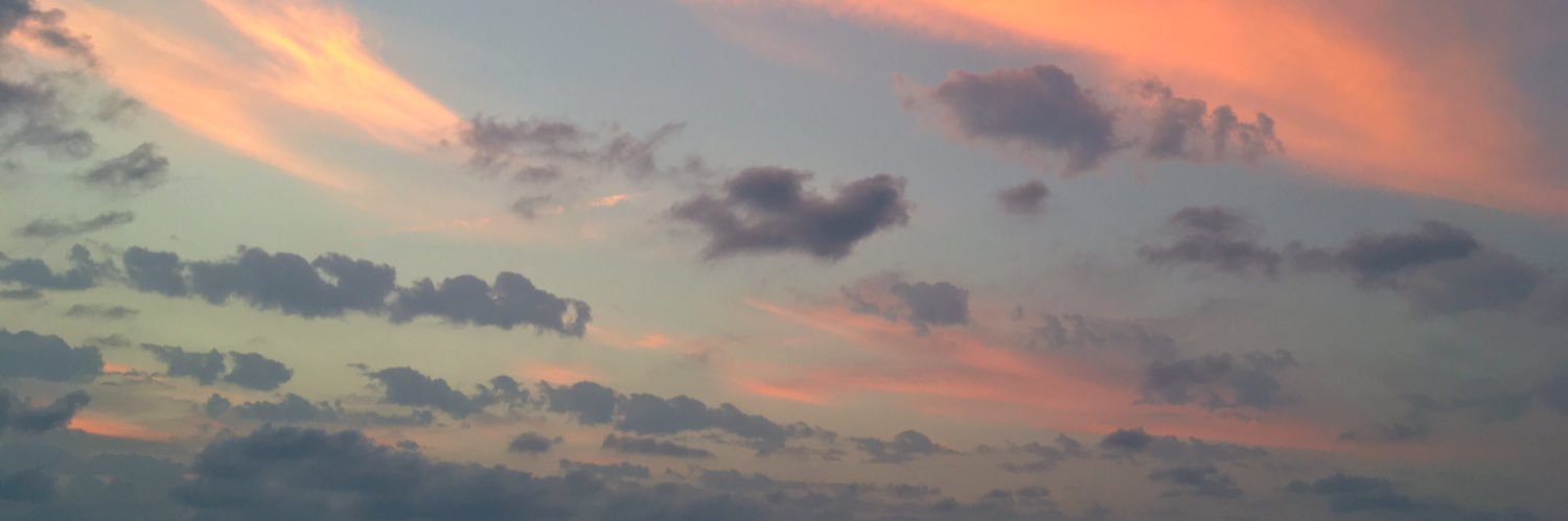 hen80476636's profile banner image