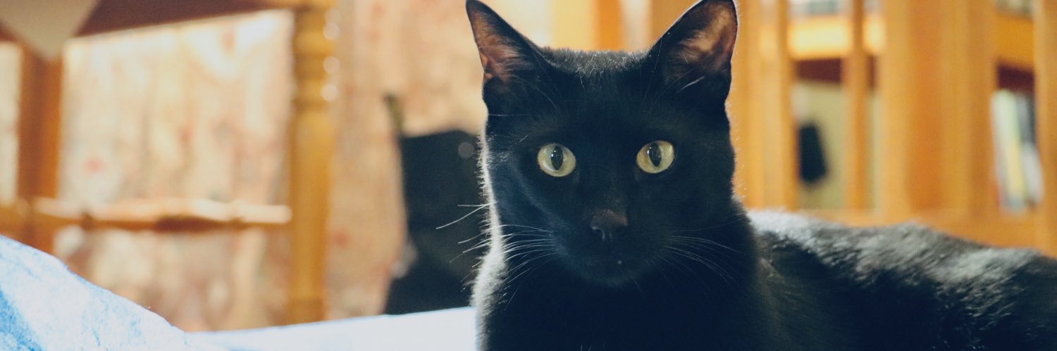 a_rayyy's profile banner image