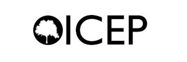 ICEPConference Profile Banner