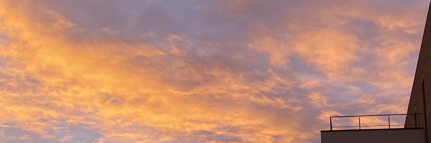alexisokay's profile banner image