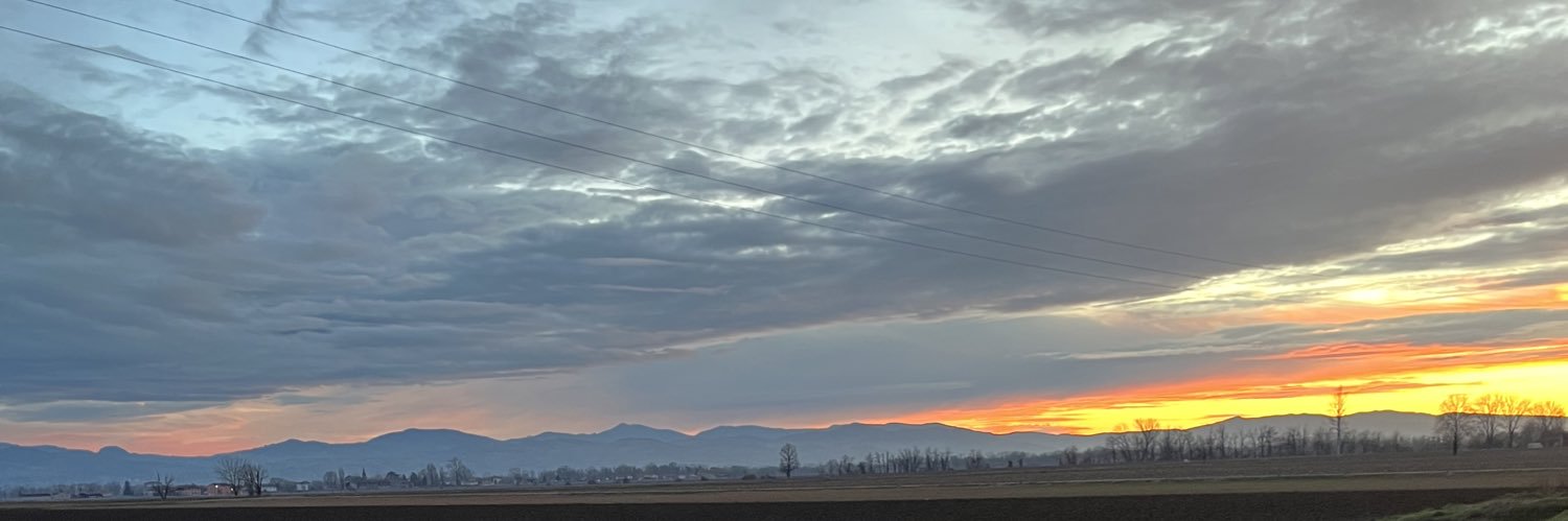 quiquote banner