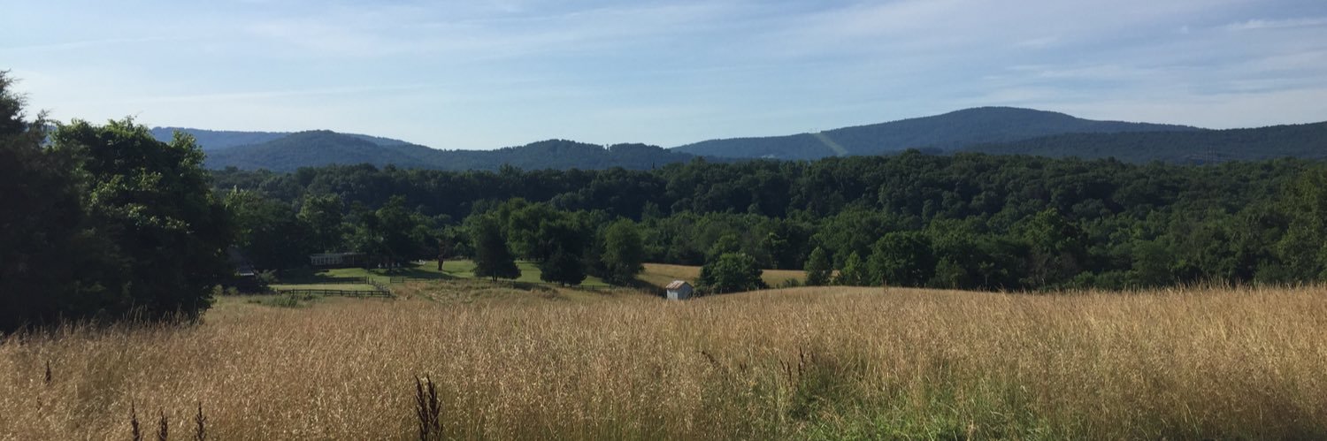 Hollie Swanson banner