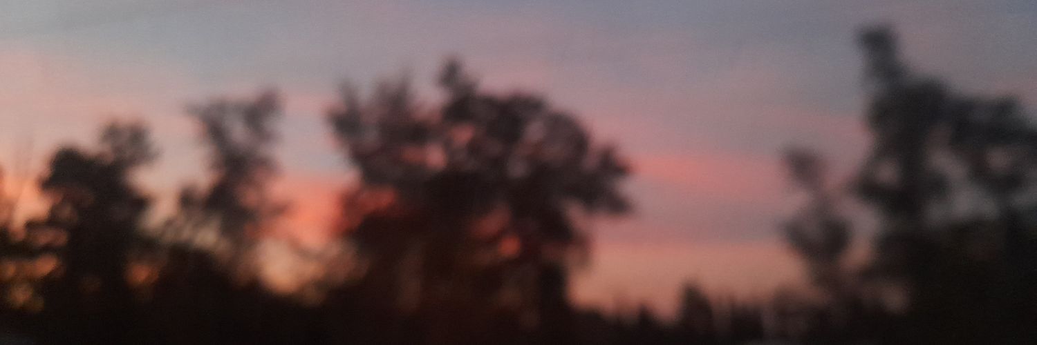PBassutti's profile banner image