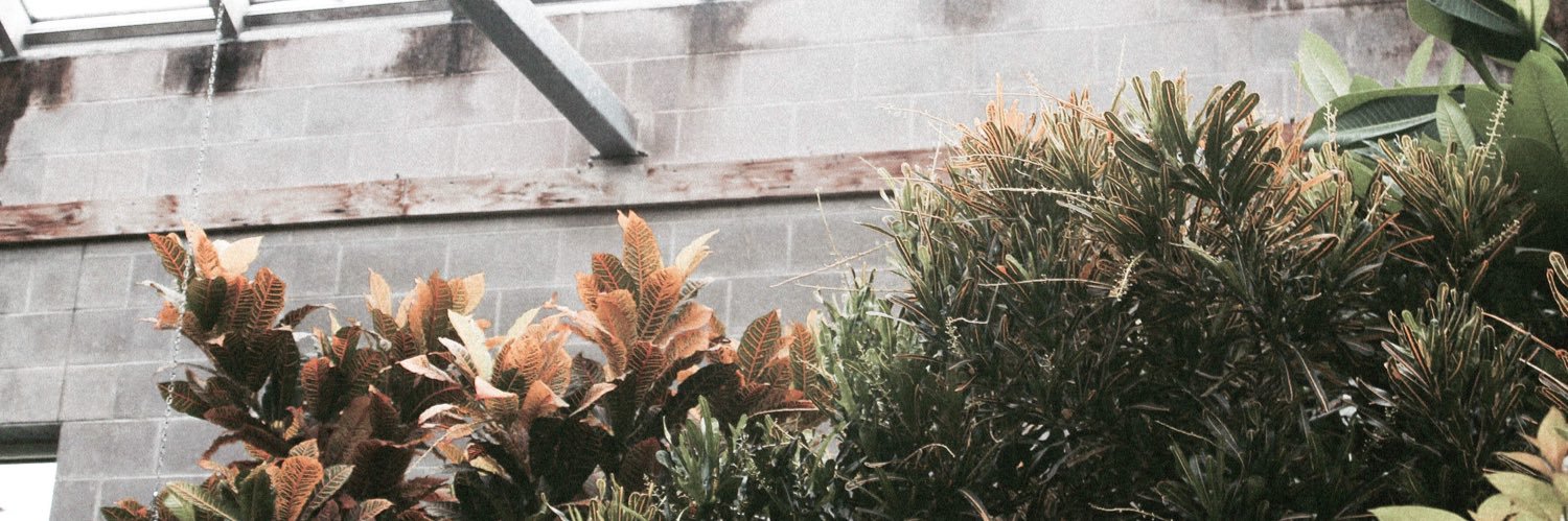 jacob_fries's profile banner image