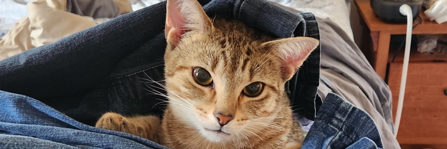 OneAnnoyedWoman's profile banner image