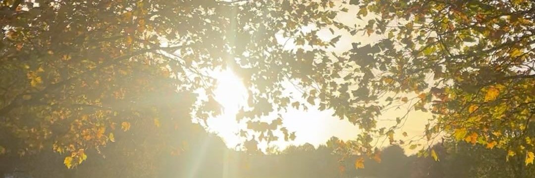 AmandaLuck2lvp's profile banner image