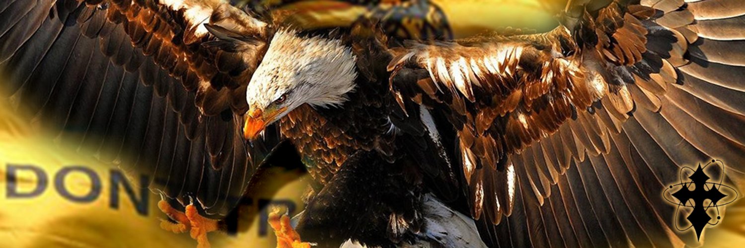 R.O.C.K. in the USSA banner