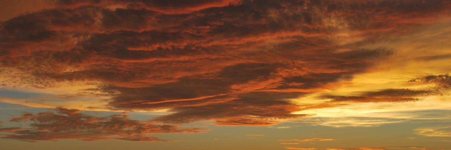 Mark Newcomer banner