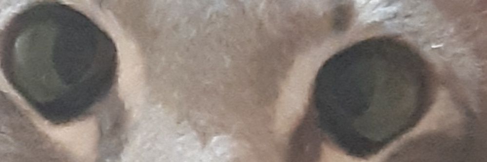 TaudYT's profile banner image