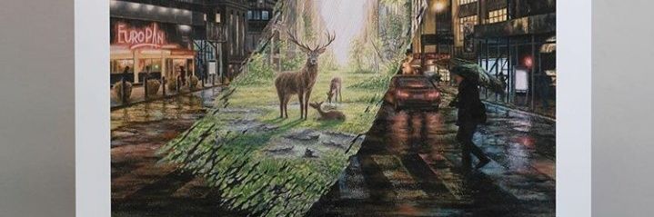 meysi banner