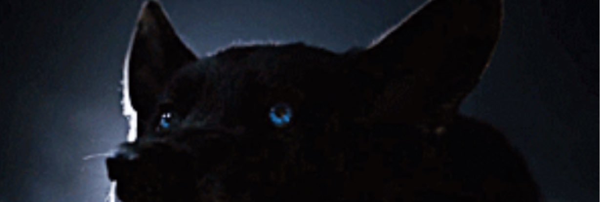 Derekmysw's profile banner image