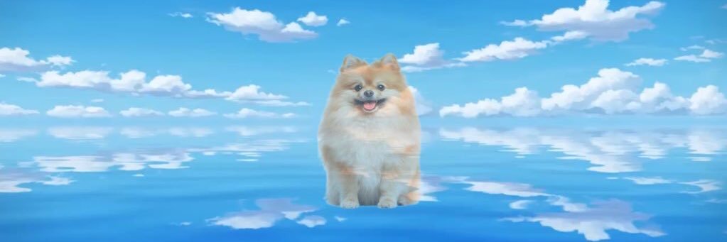 chiwa_war's profile banner image