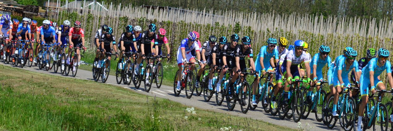 ProcyclingLive banner