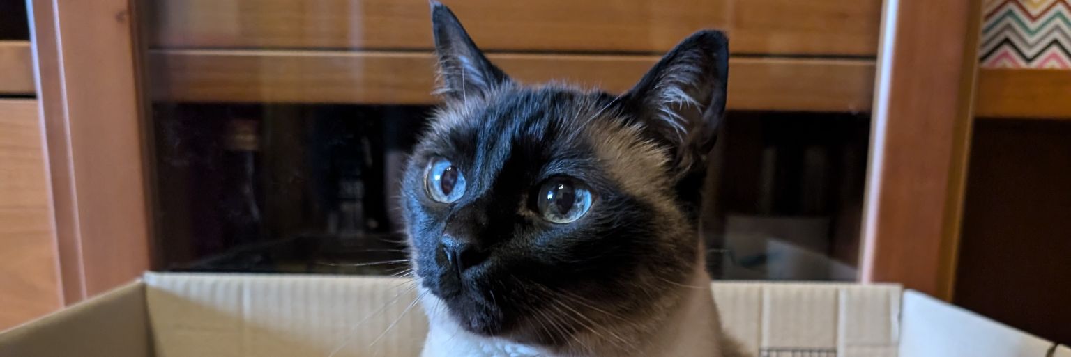 alba1598's profile banner image