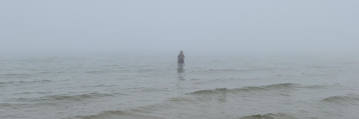 lilybugarini's profile banner image