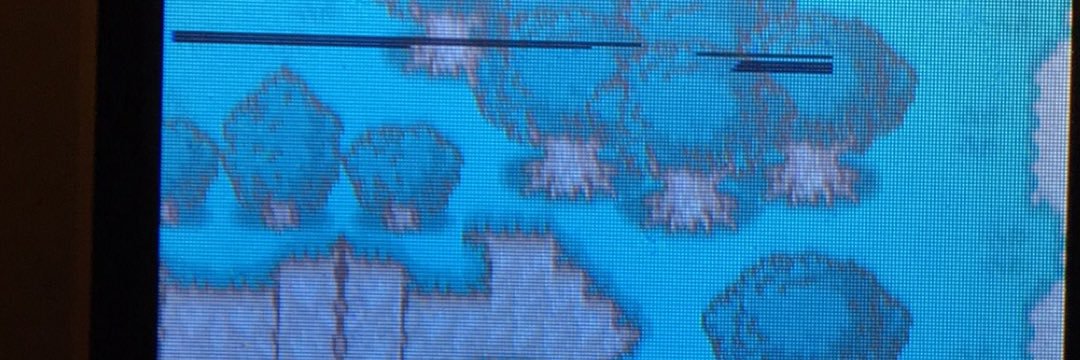coattailsnspats's profile banner image