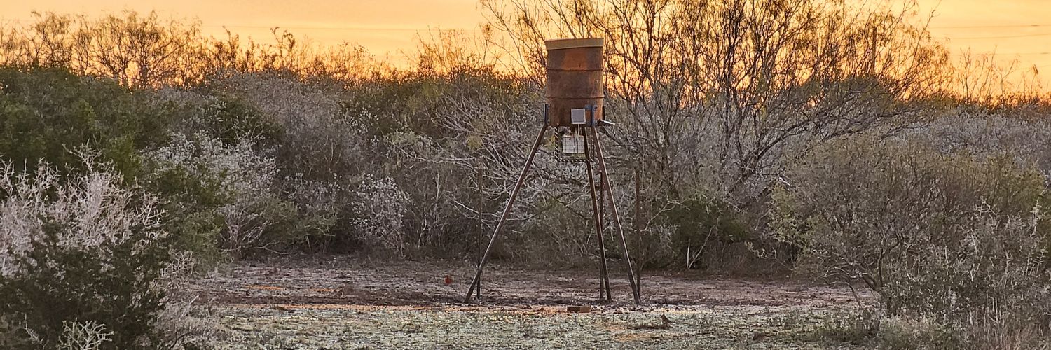 NativeSandman's profile banner image