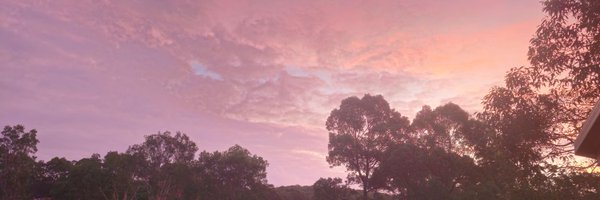 njd1p Profile Banner