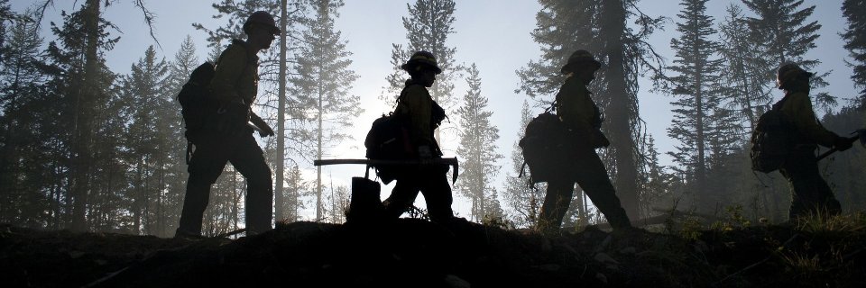 Forest-Climate Working Group banner