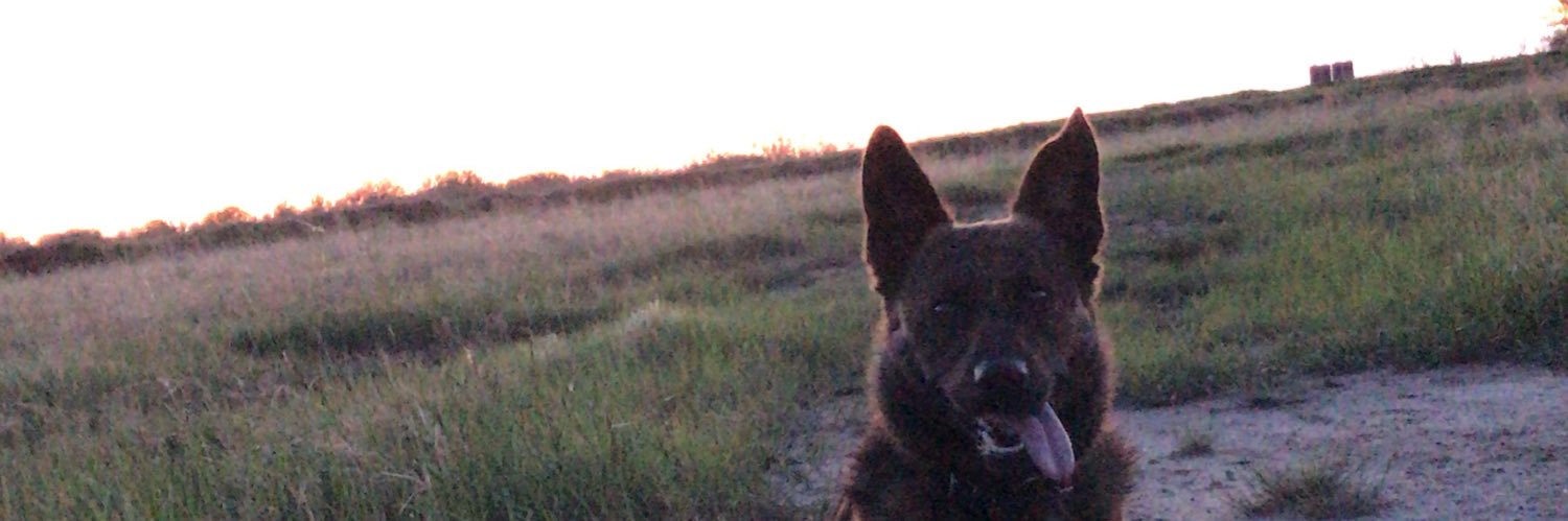 MickBostock's profile banner image