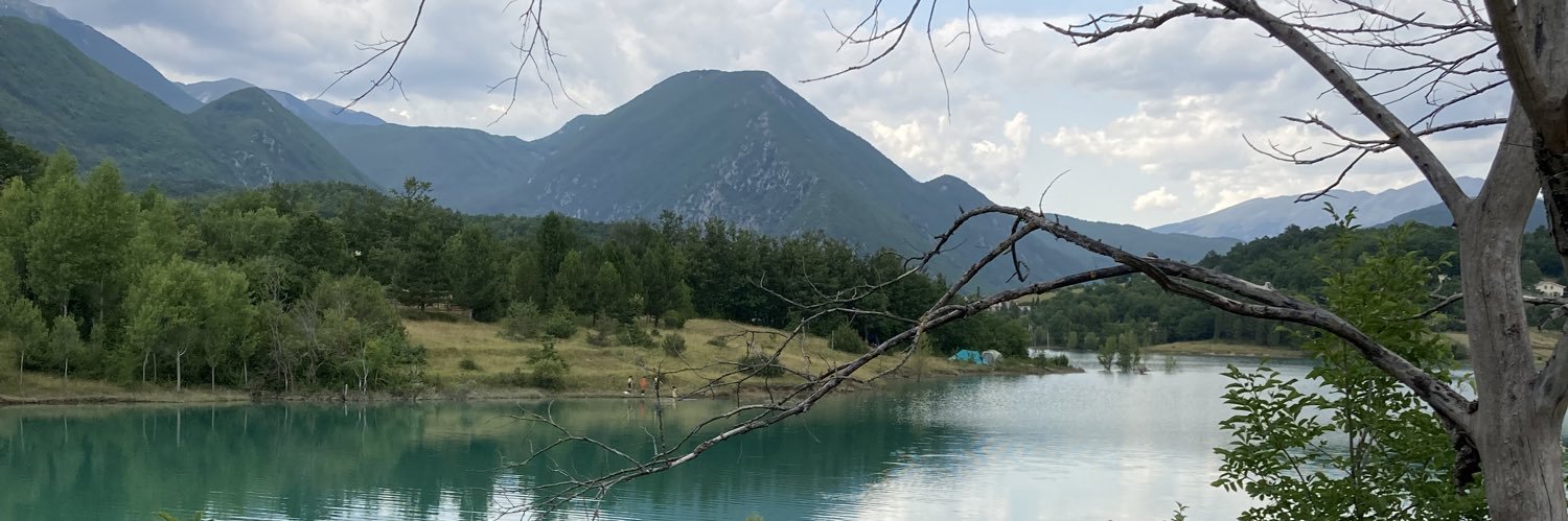 Giulia Grillo banner