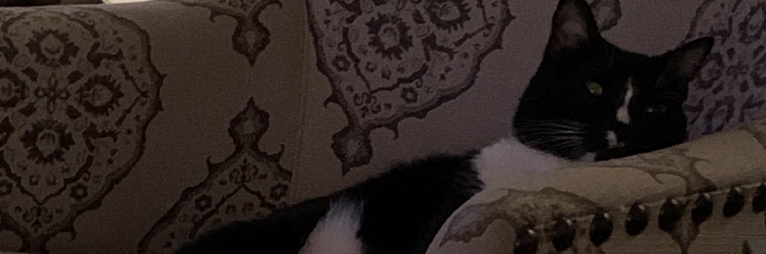 Sandra Zamarripa banner